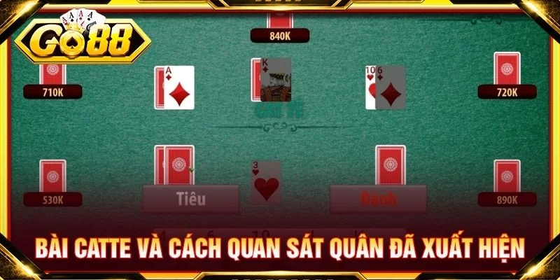 Bài Catte và cách quan sát quân đã xuất hiện