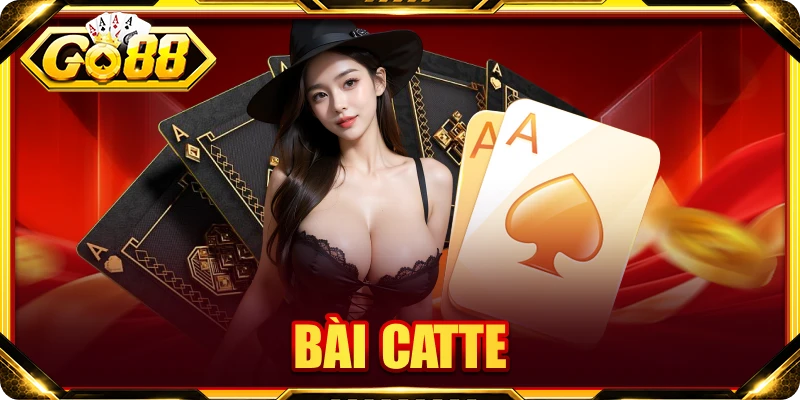 Bài Catte: Nắm Vững Luật, Đọc Bài Và Làm Chủ Từng Vòng