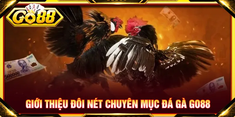 Chuyên mục đá gà tổ chức nhiều đấu trường mỗi ngày