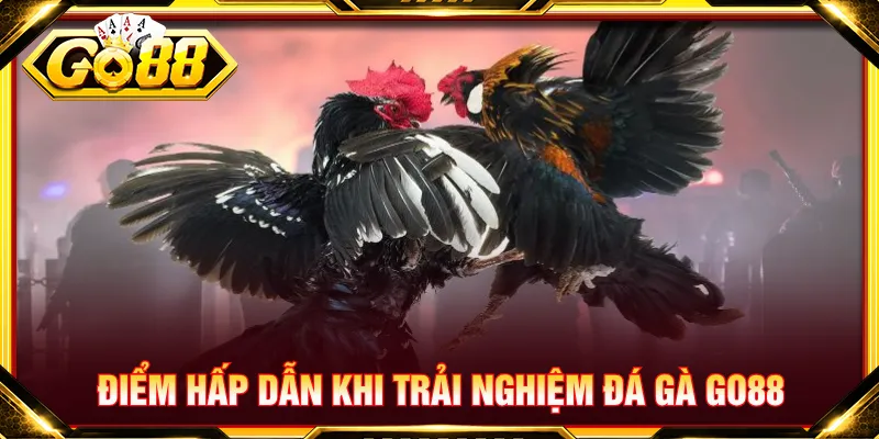 Người chơi được lựa chọn hình thức cược tham gia GO88