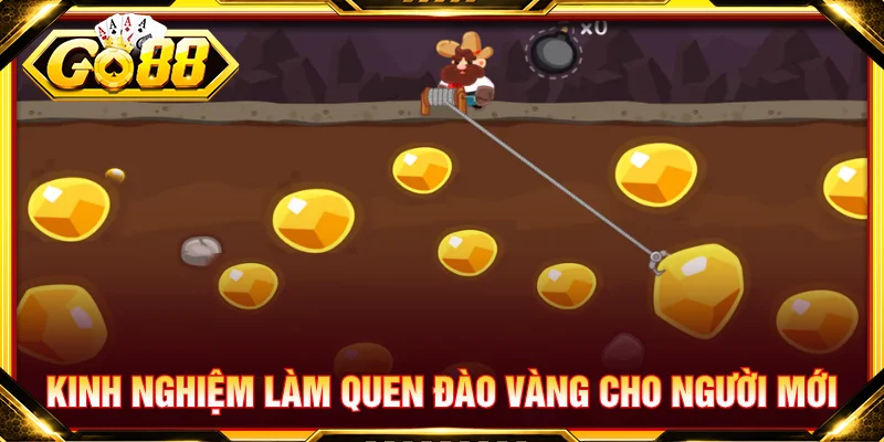 Người mới nên tìm hiểu kỹ luật chơi trước khi tham gia