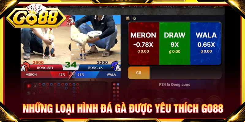 Nhiều loại hình đá gà online được yêu thích hiện nay